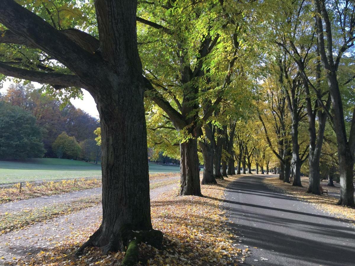 Suite Mit Blick Auf Die Lichtentaler Allee บาเดน-บาเดน ภายนอก รูปภาพ