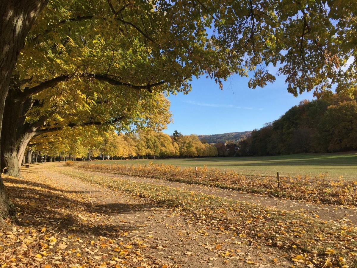 Suite Mit Blick Auf Die Lichtentaler Allee บาเดน-บาเดน ภายนอก รูปภาพ